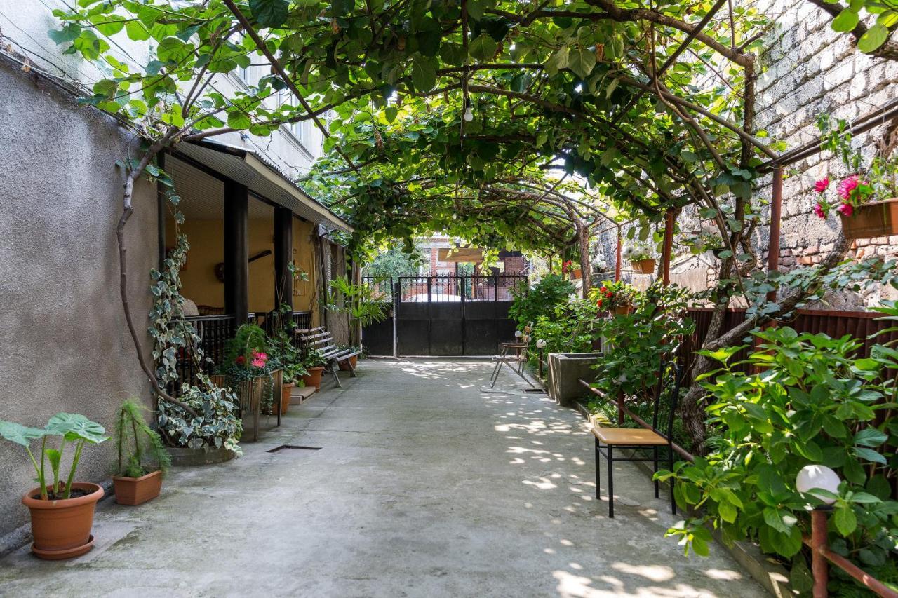 The Kiwi House Hotel Lagodekhi Exterior photo